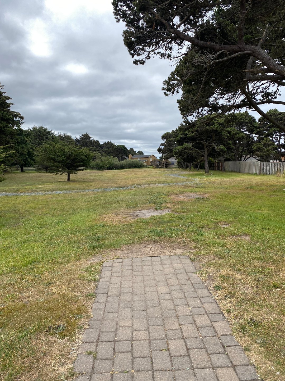 Tee pad for hole 2 on the Main layout and Hole 3A on the Bandon 30 layout.
