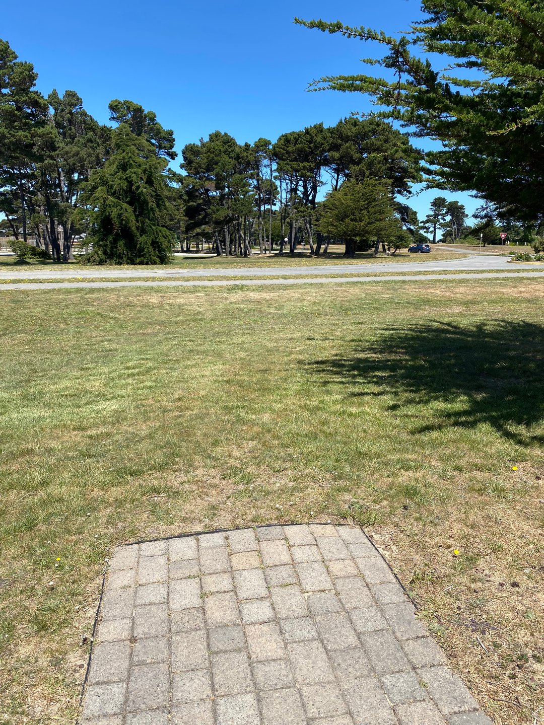 Tee pad for Hole 16 on the Main layout and Hole 26A on the Bandon 30 layout.