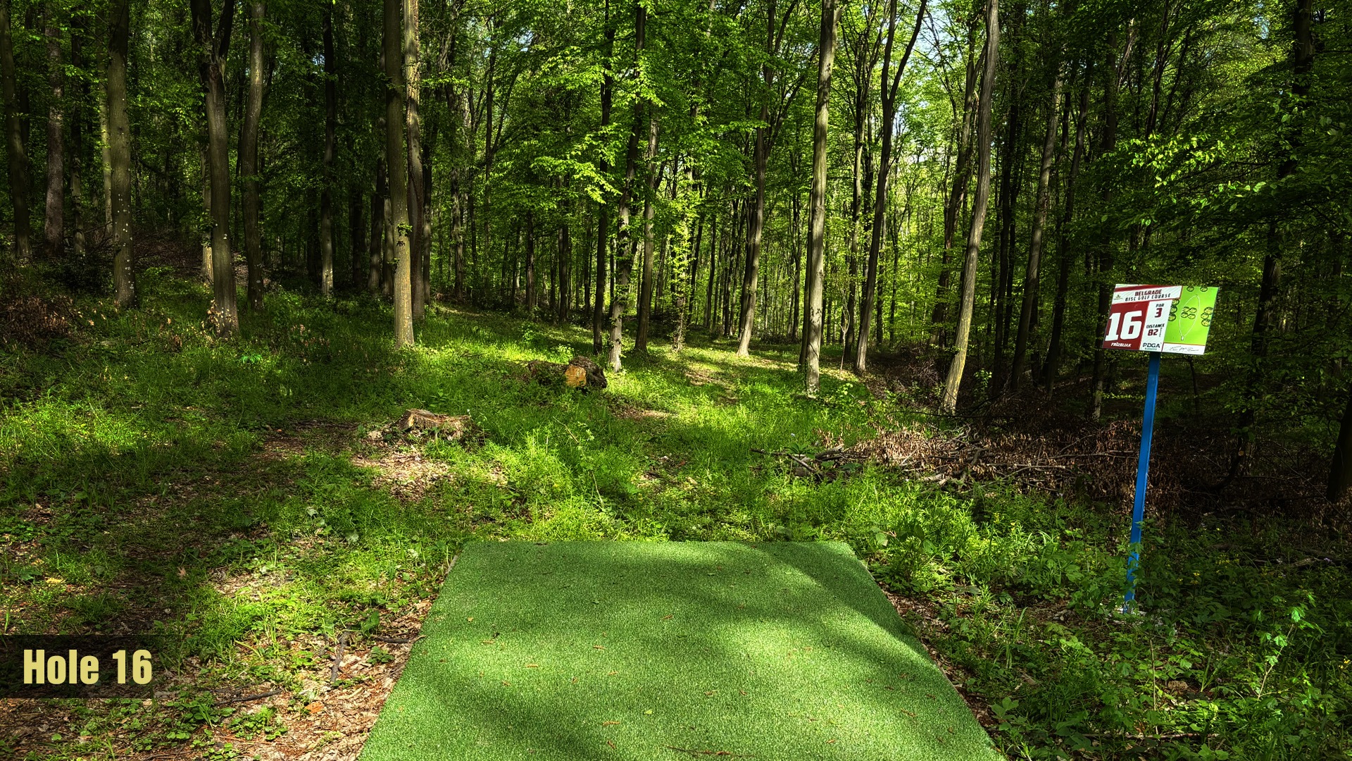 Tee 16