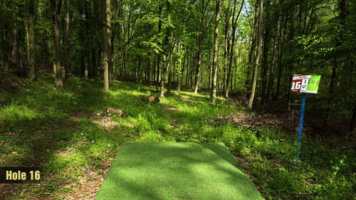 Tee 16