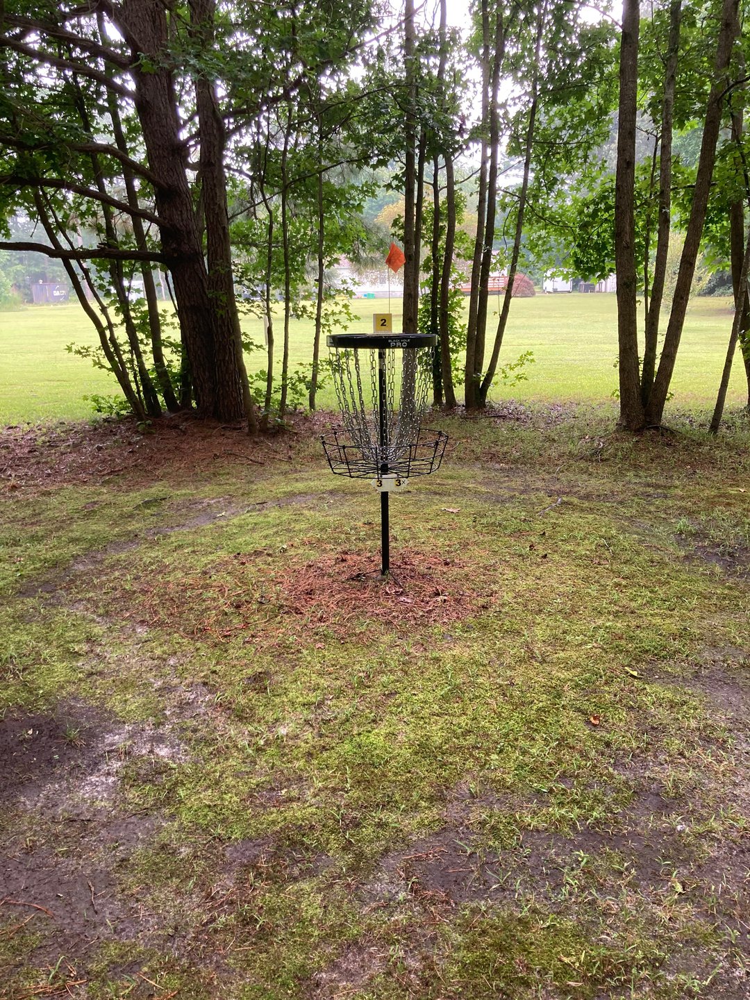 Hole 2 basket in “the jail” of trees