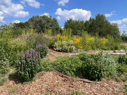 Giant pollinator garden by hole #1