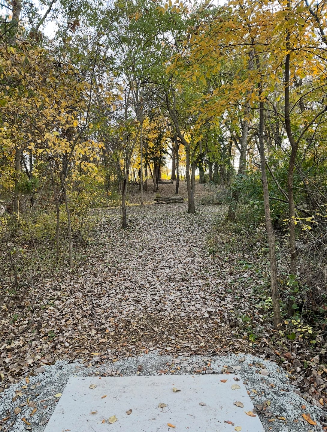 Hole 2 - PRO Tee. Uphill slight left. Pin on mound. 