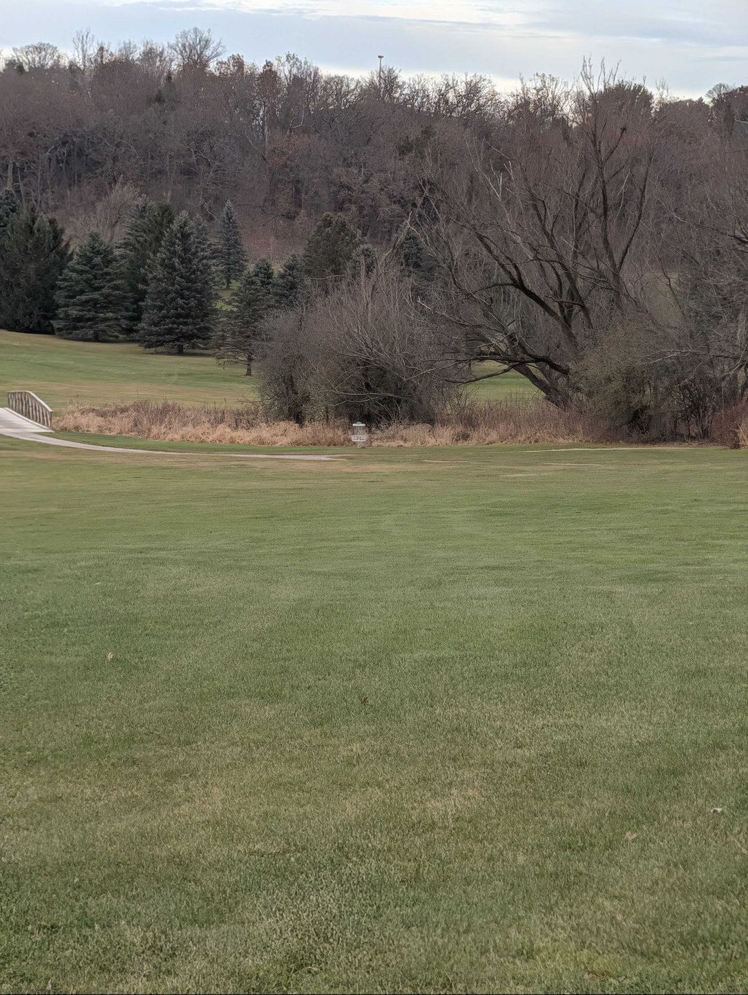 basket location zoomed in from long/short tee