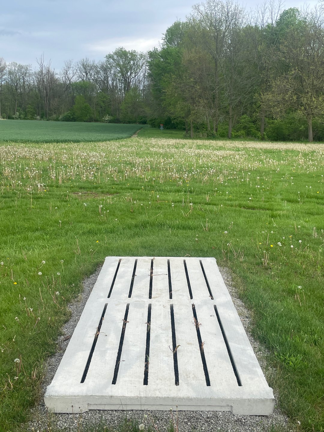 Hole 1 Long Tee Position. Basket straight ahead!