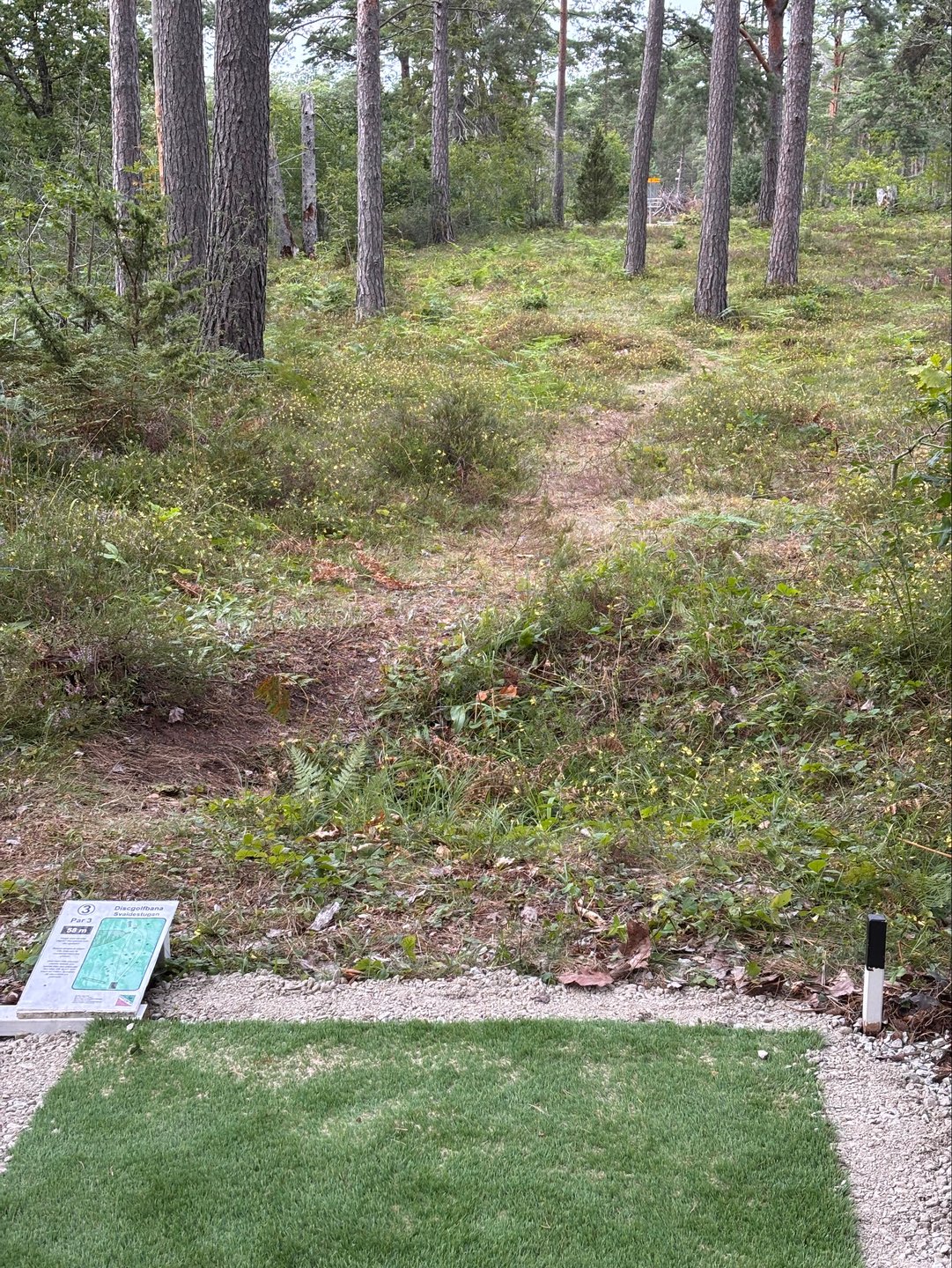 Hål 3, svart tee, nu med matta. 