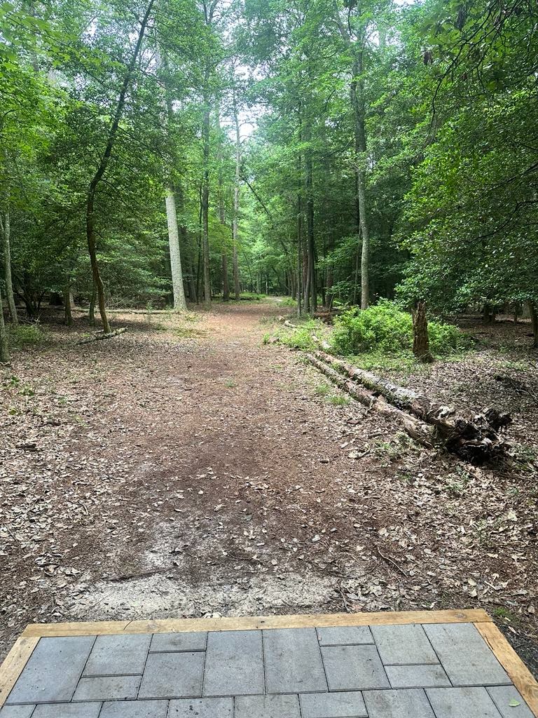 View from NEW Position Long Tee (130 feet added) 

Old Long is now new short

Both long and short are paver pads 