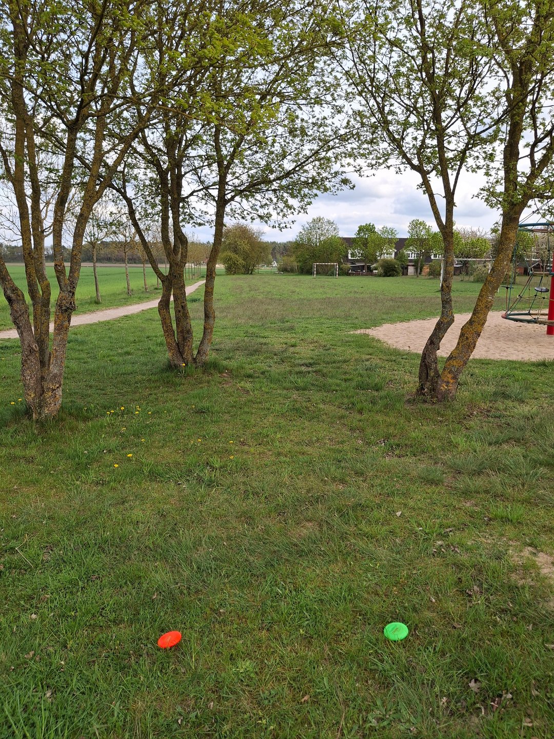 Tee 3
Double mando both trees
Target: last Tree on the left path behind the last Group of trees 