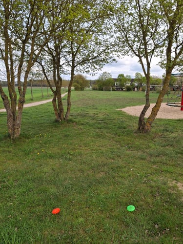 Tee 3
Double mando both trees
Target: last Tree on the left path behind the last Group of trees 