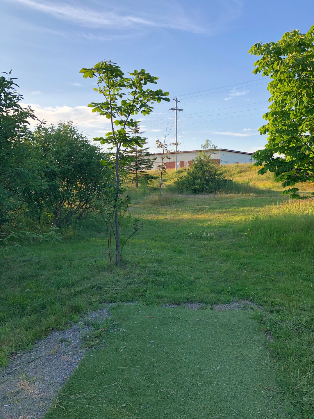 Hole 5 from red tee