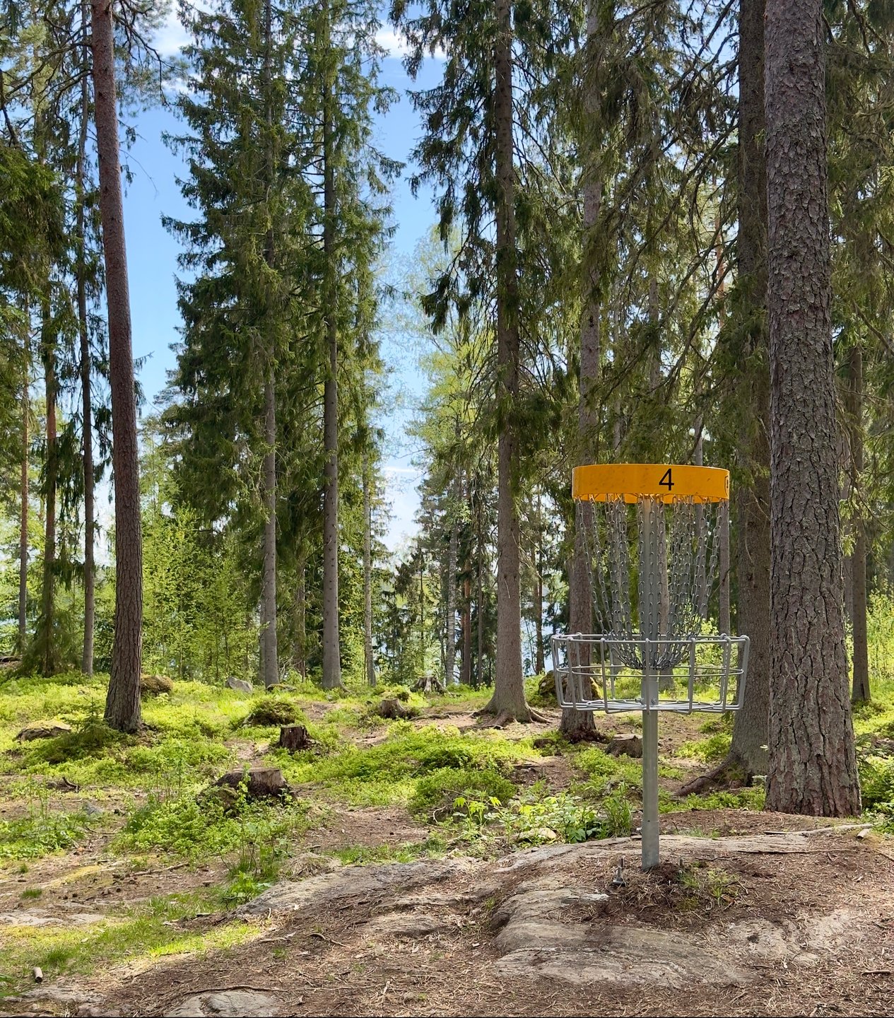 Väylä 4 korin takaa