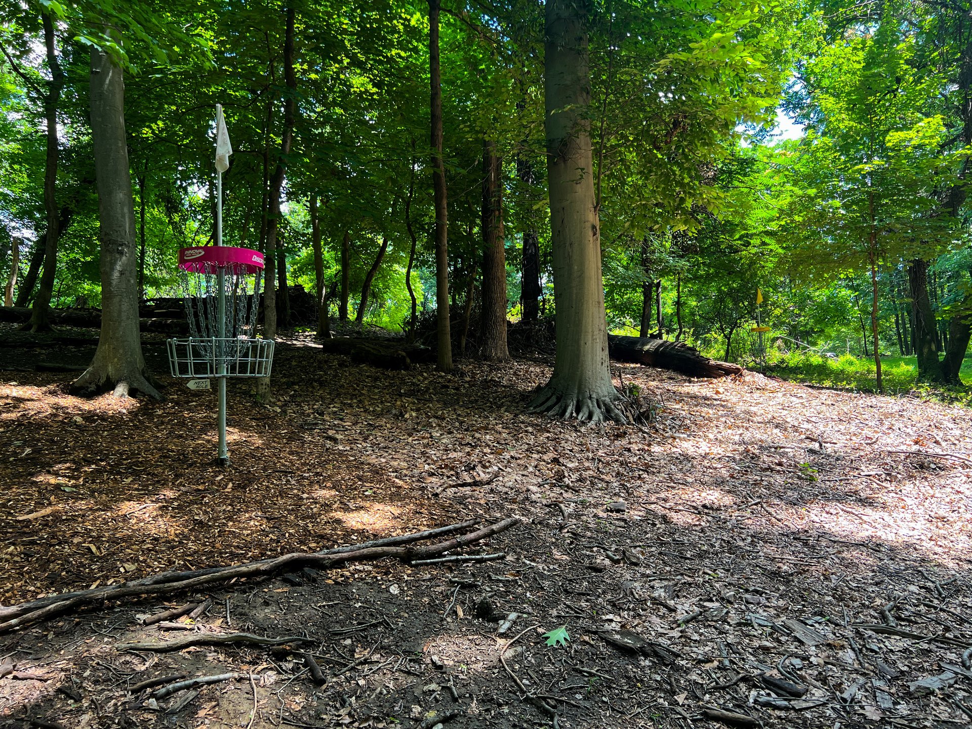 Hole 12's Pink and Yellow baskets. Yellow is past and to the right of Pink basket. 