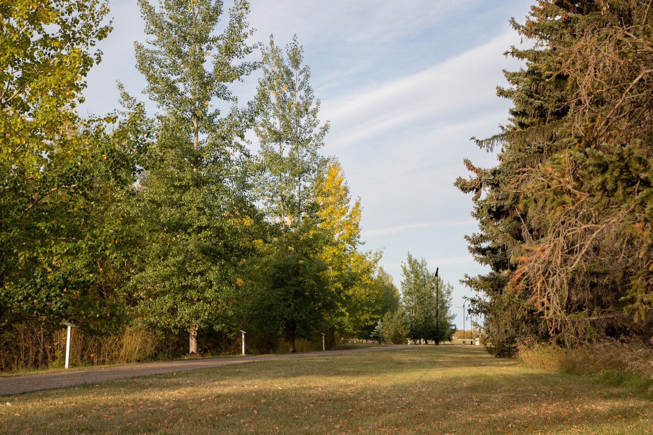 Looking down hole 3's fairway