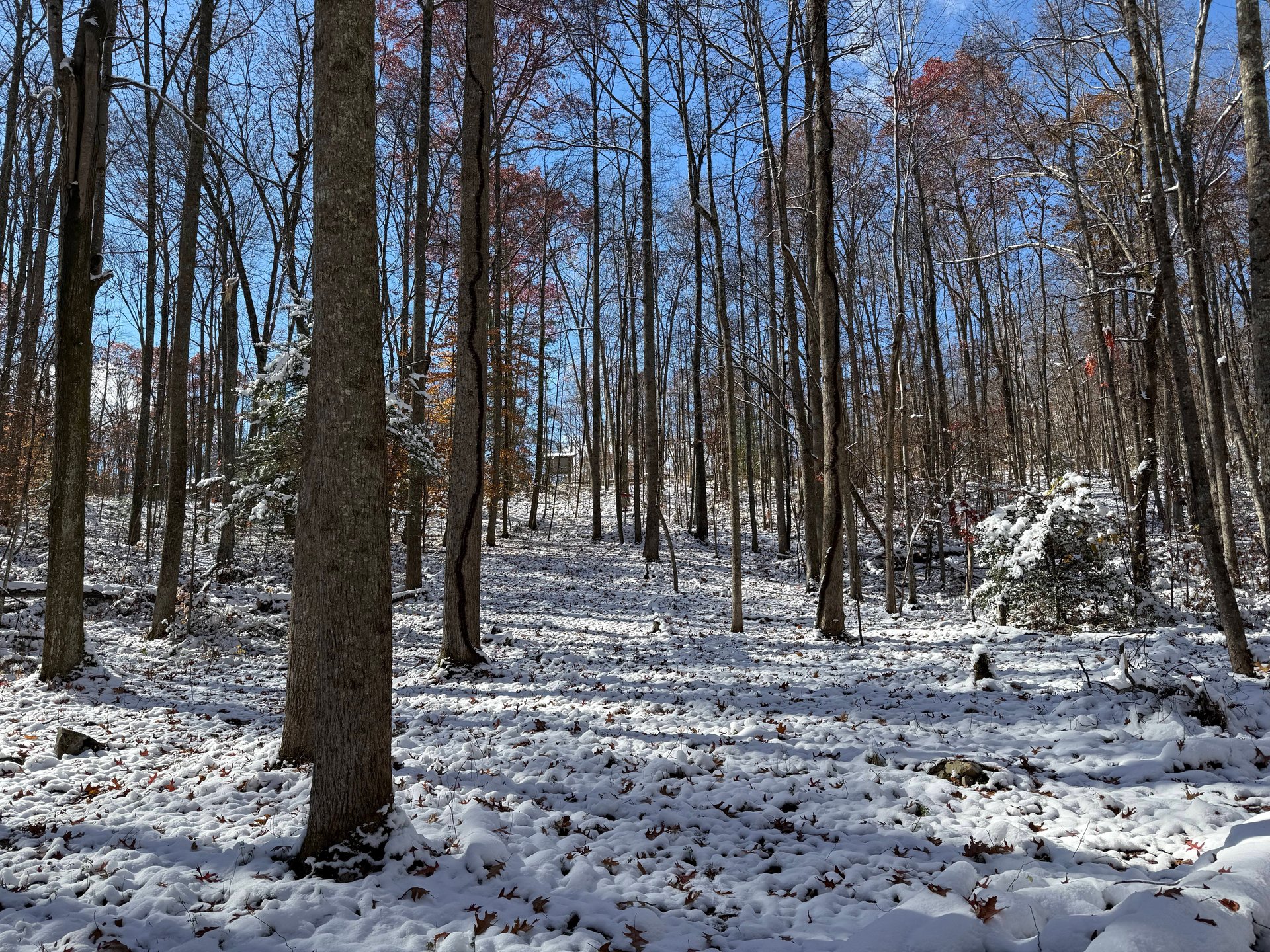 On the fairway looking up towards the basket