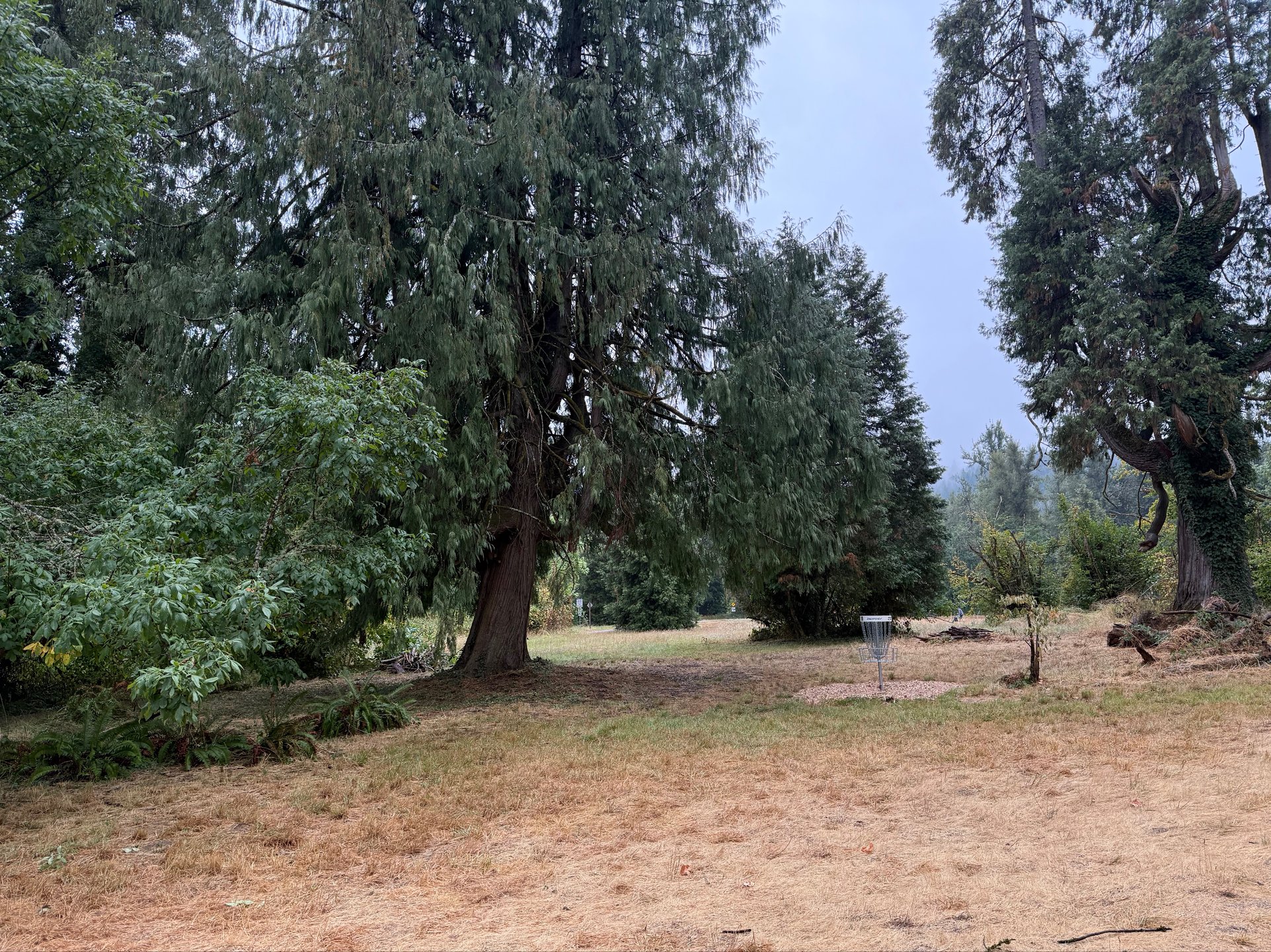 Middle pin location.