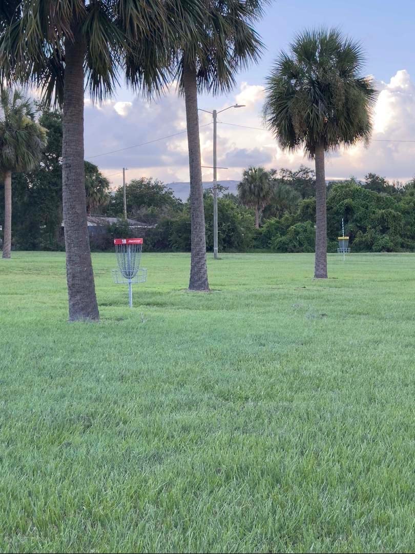 Short/red basket 
