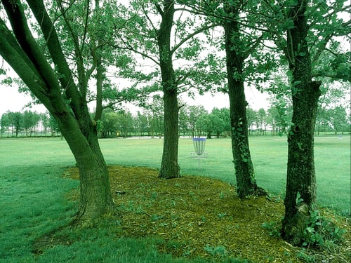 Course photo
