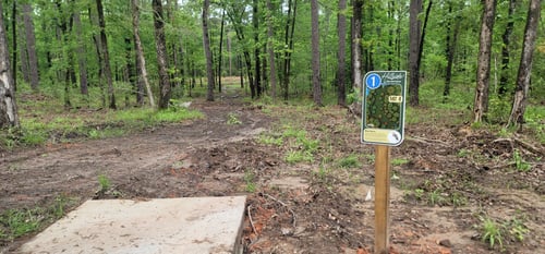 Hillside - North  Toledo Bend State Park