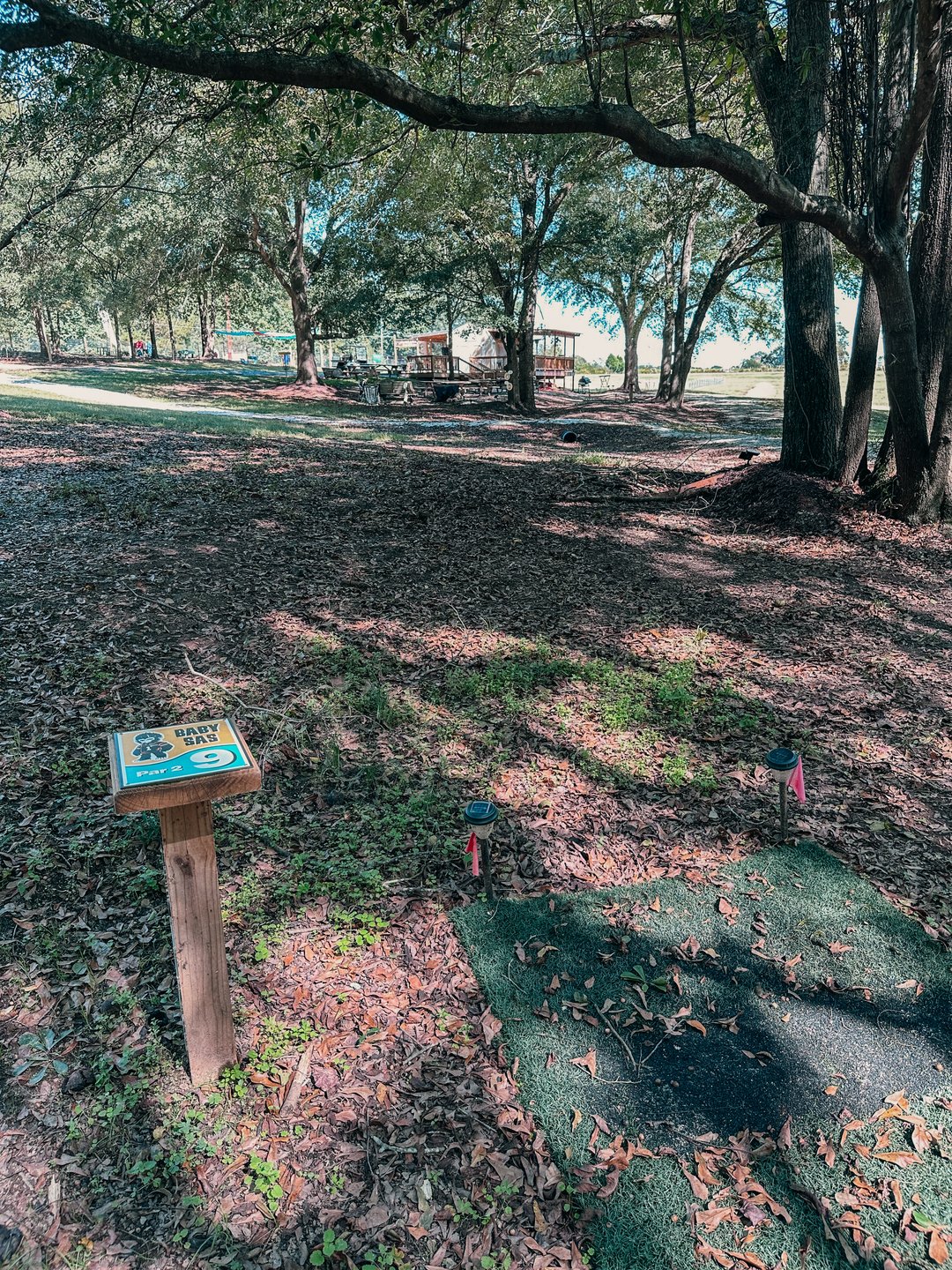 Hole #9