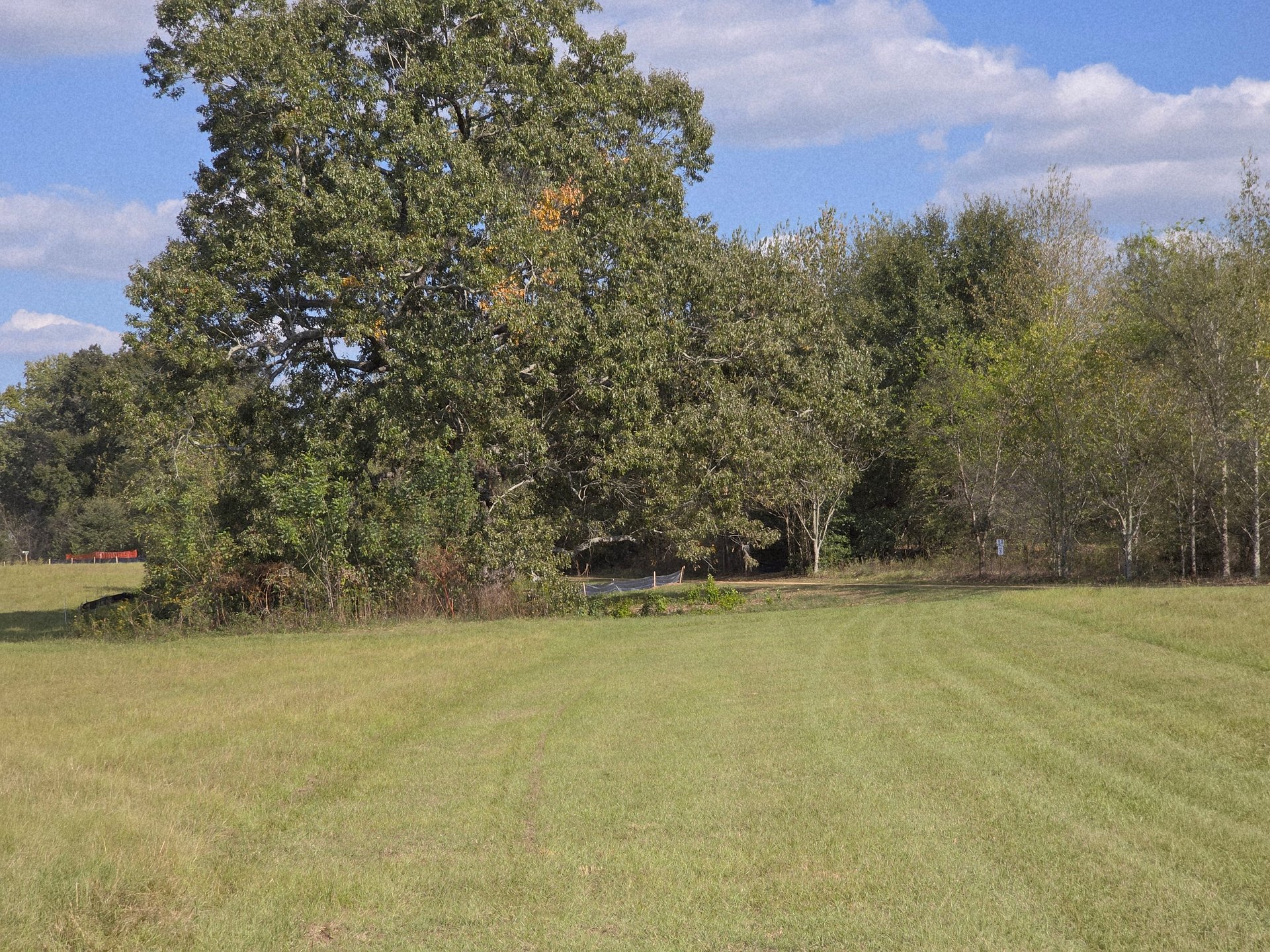From 8's tee, looking down the fairway at the gap, with the basket tucked around the big tree to the left.