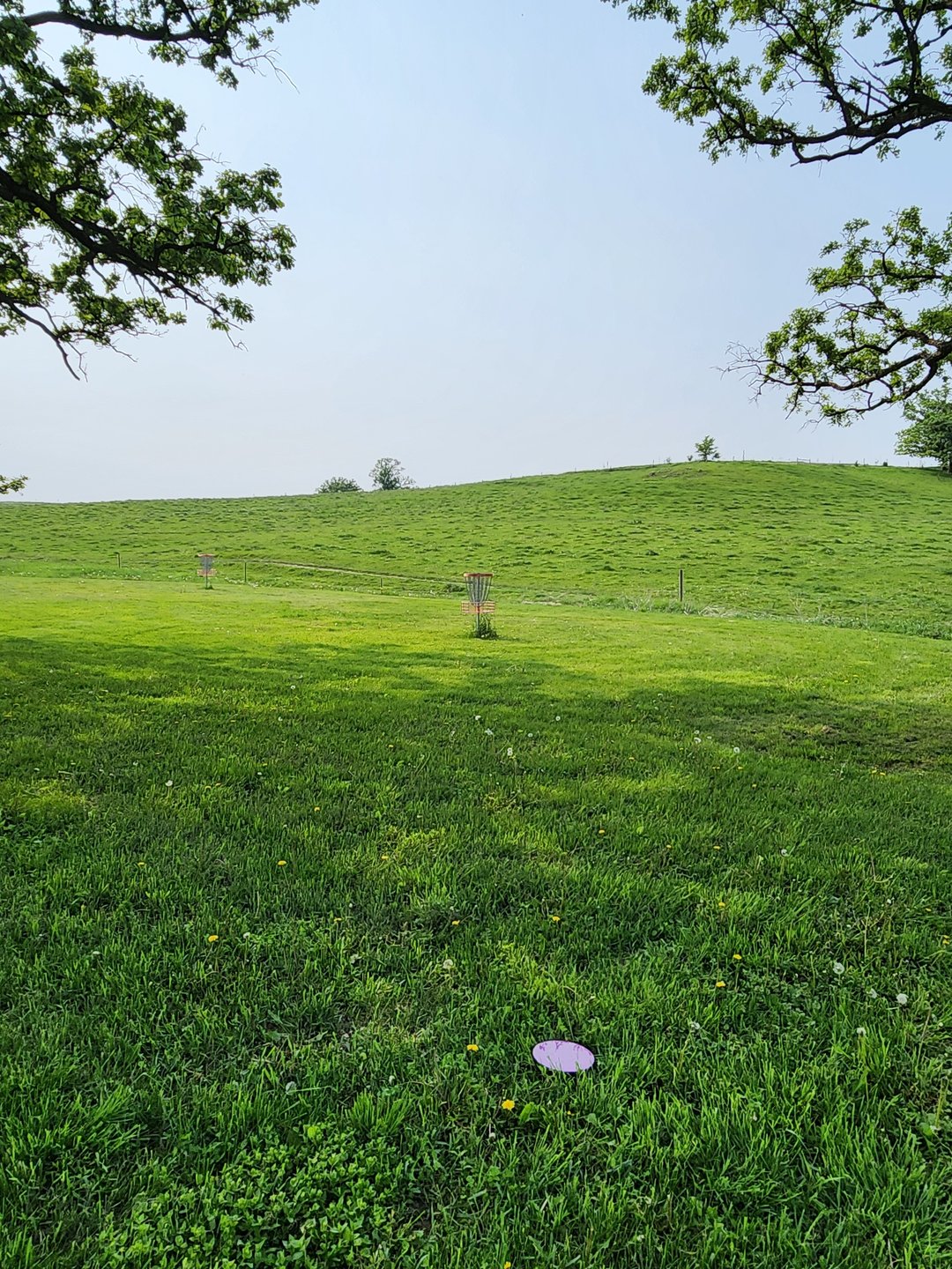 Hole 8 green.