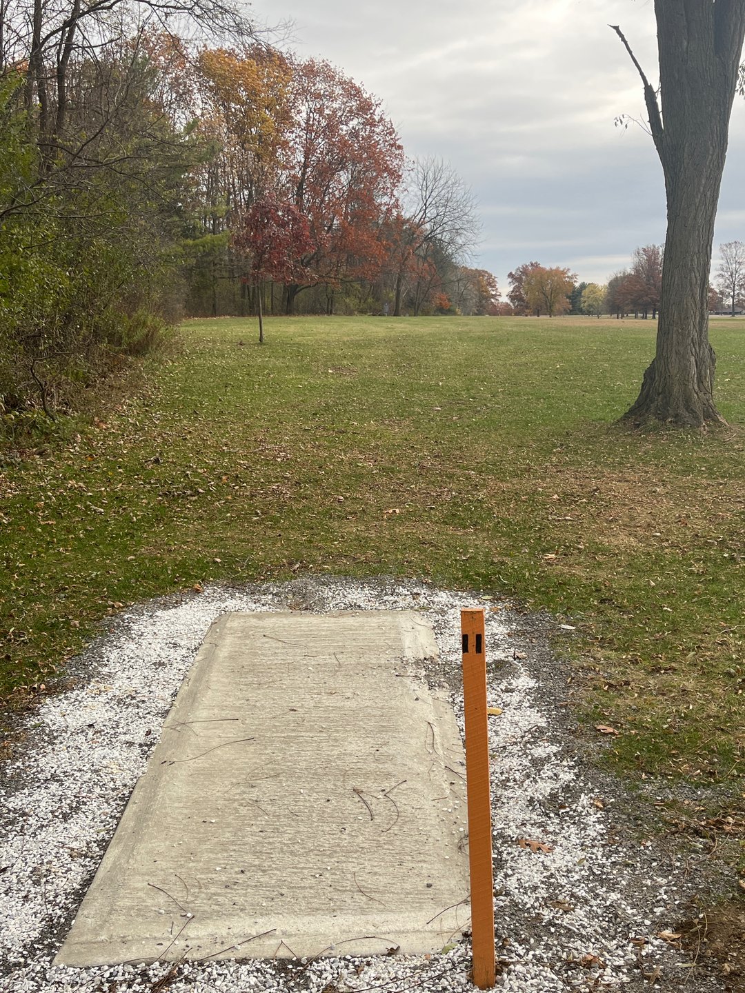 Tee 11. Basket straight ahead at distance.