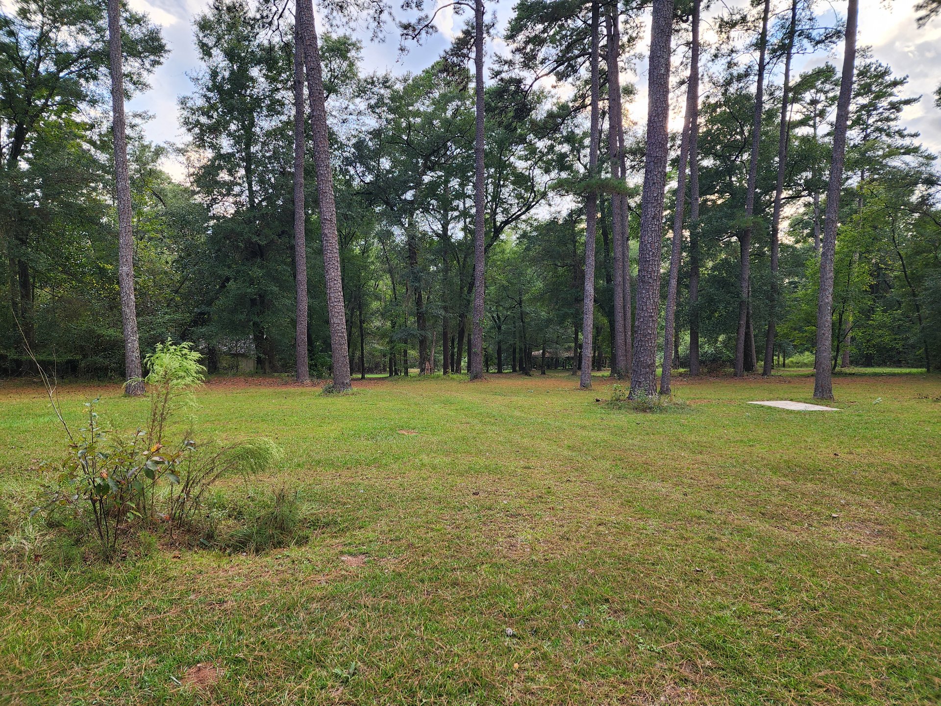 View of Fairway in front of long tee