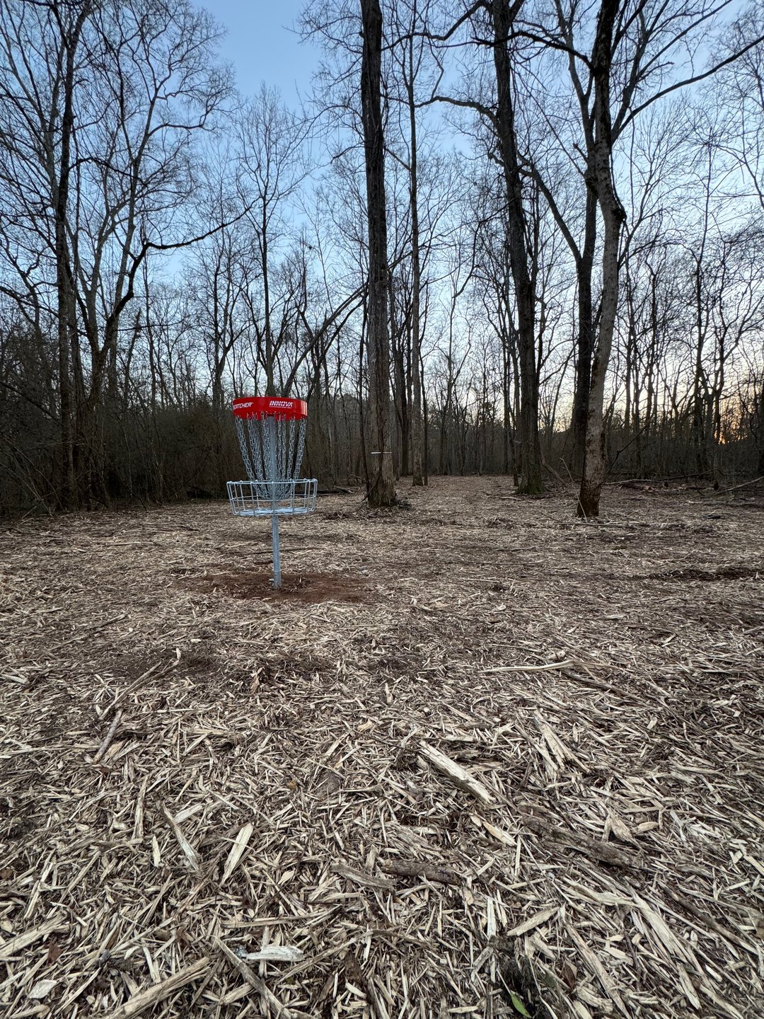 Hole 4 basket looking back toward the fairway. 