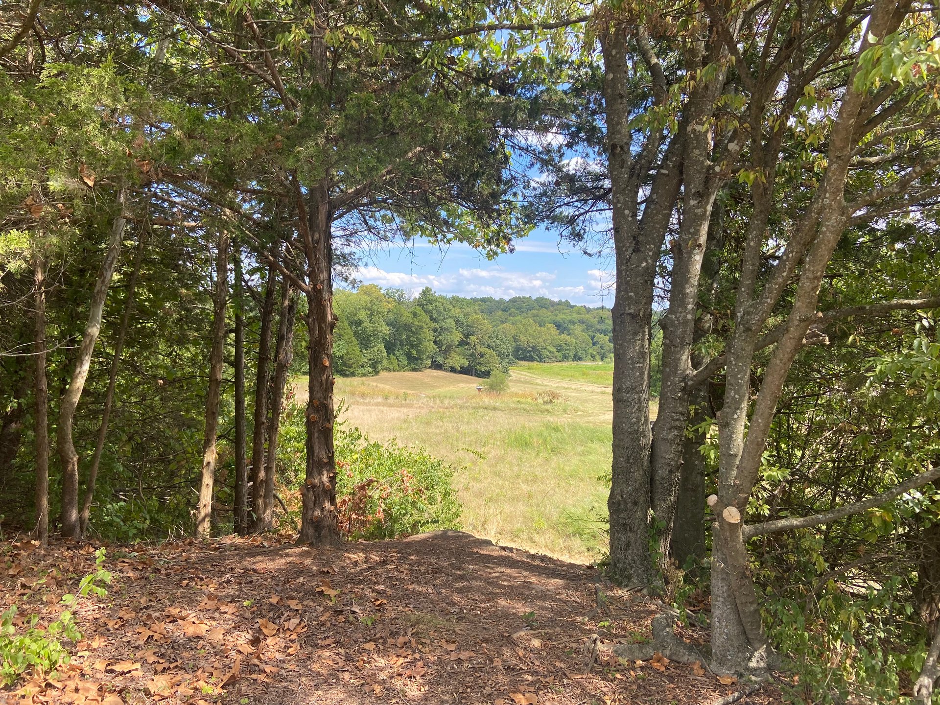 The Dam Course at Binder  Park