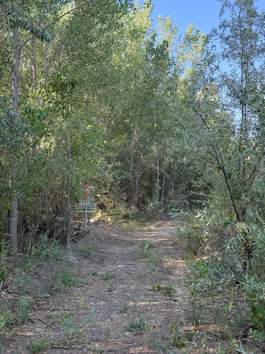 Hole 10’s fairway approaching the basket.