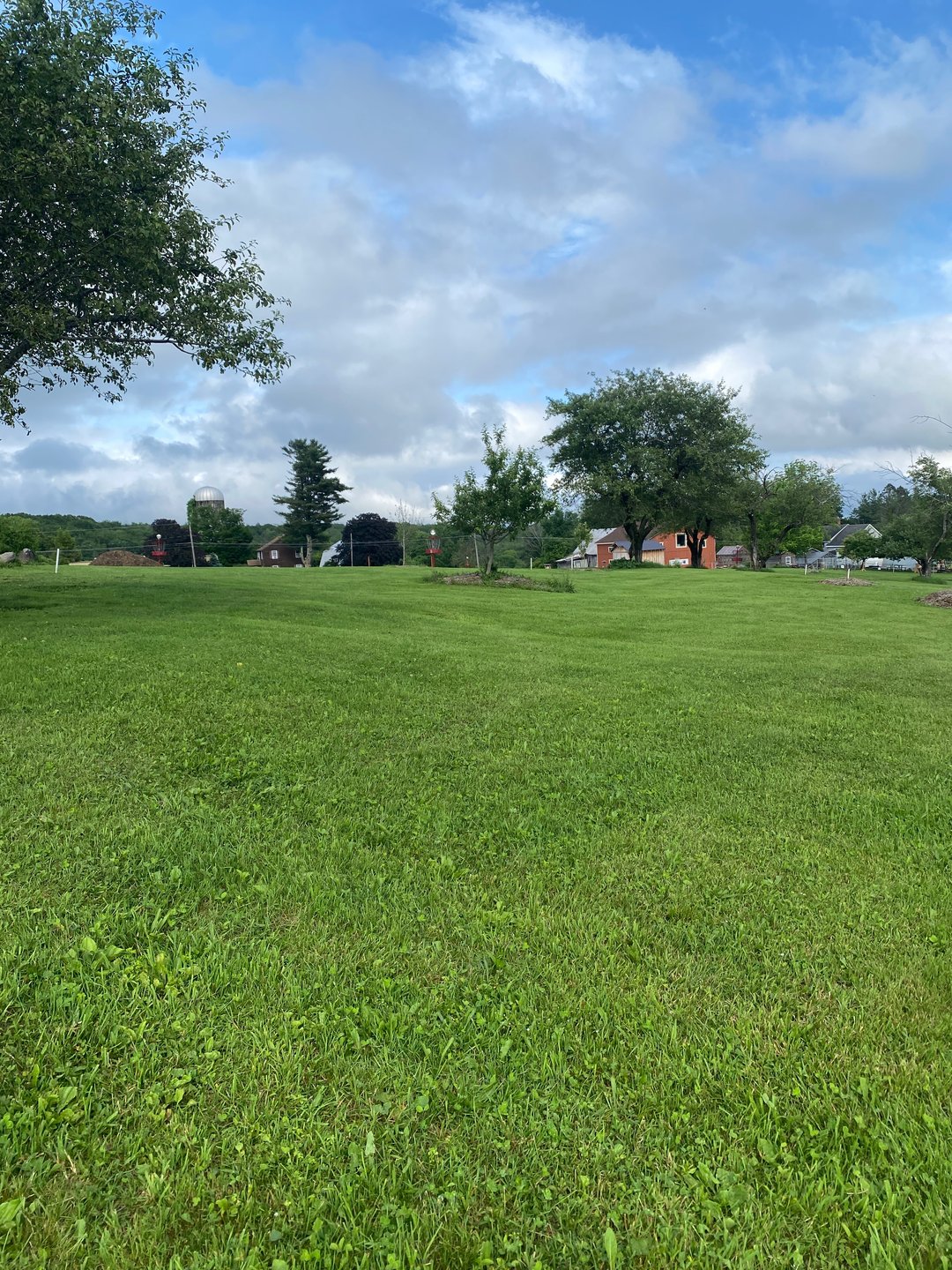 Mead Run is a straight throw except for those twin apple trees you must navigate around 