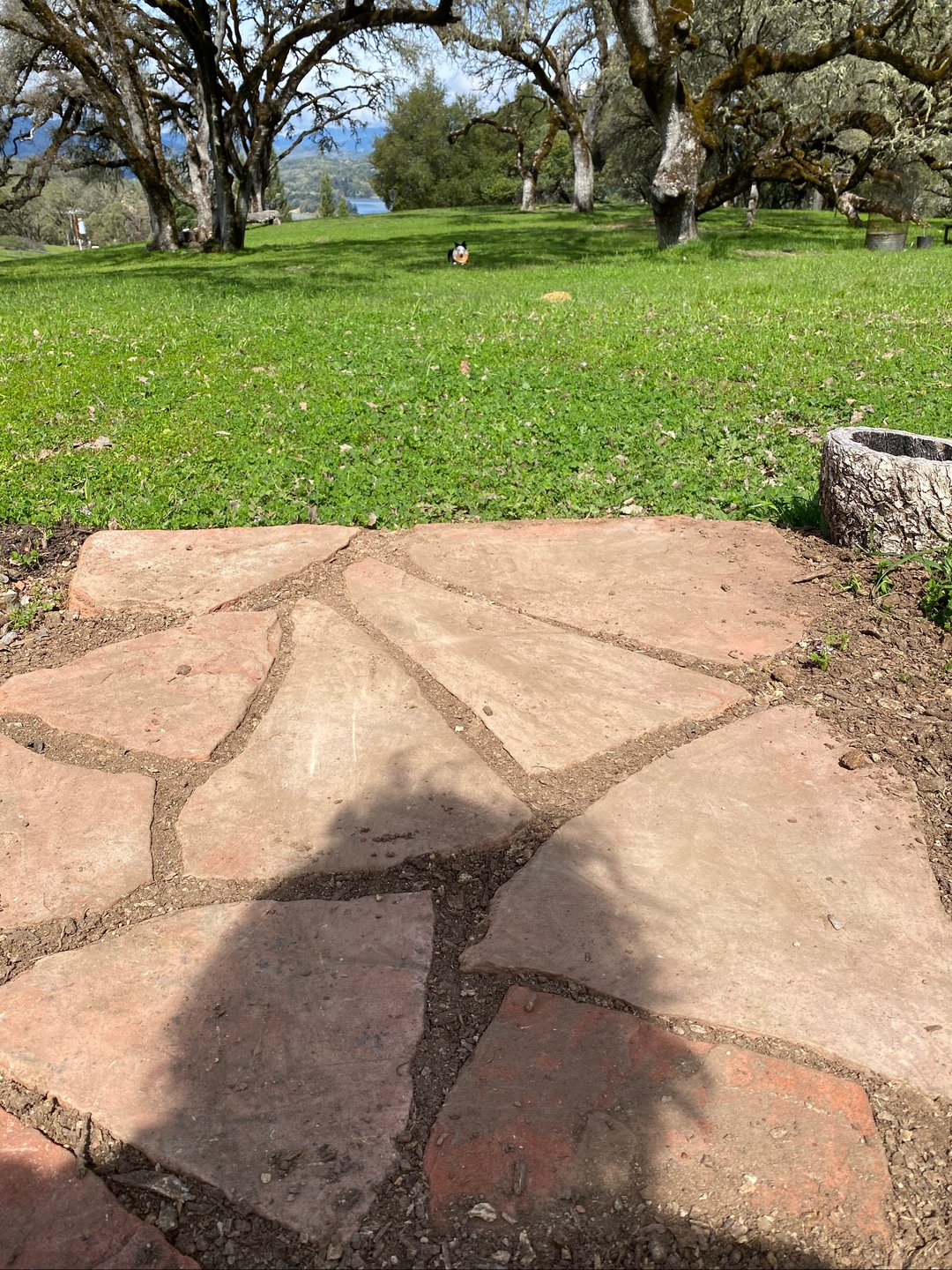 Depending on where we have people park to play, this is the current view of hole one. 

Thanks to Debra H for the beautiful flagstones we’re using to tee off our round. 