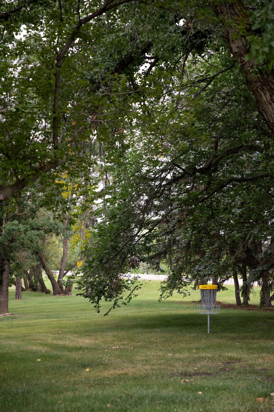 Hole 8's putting green
