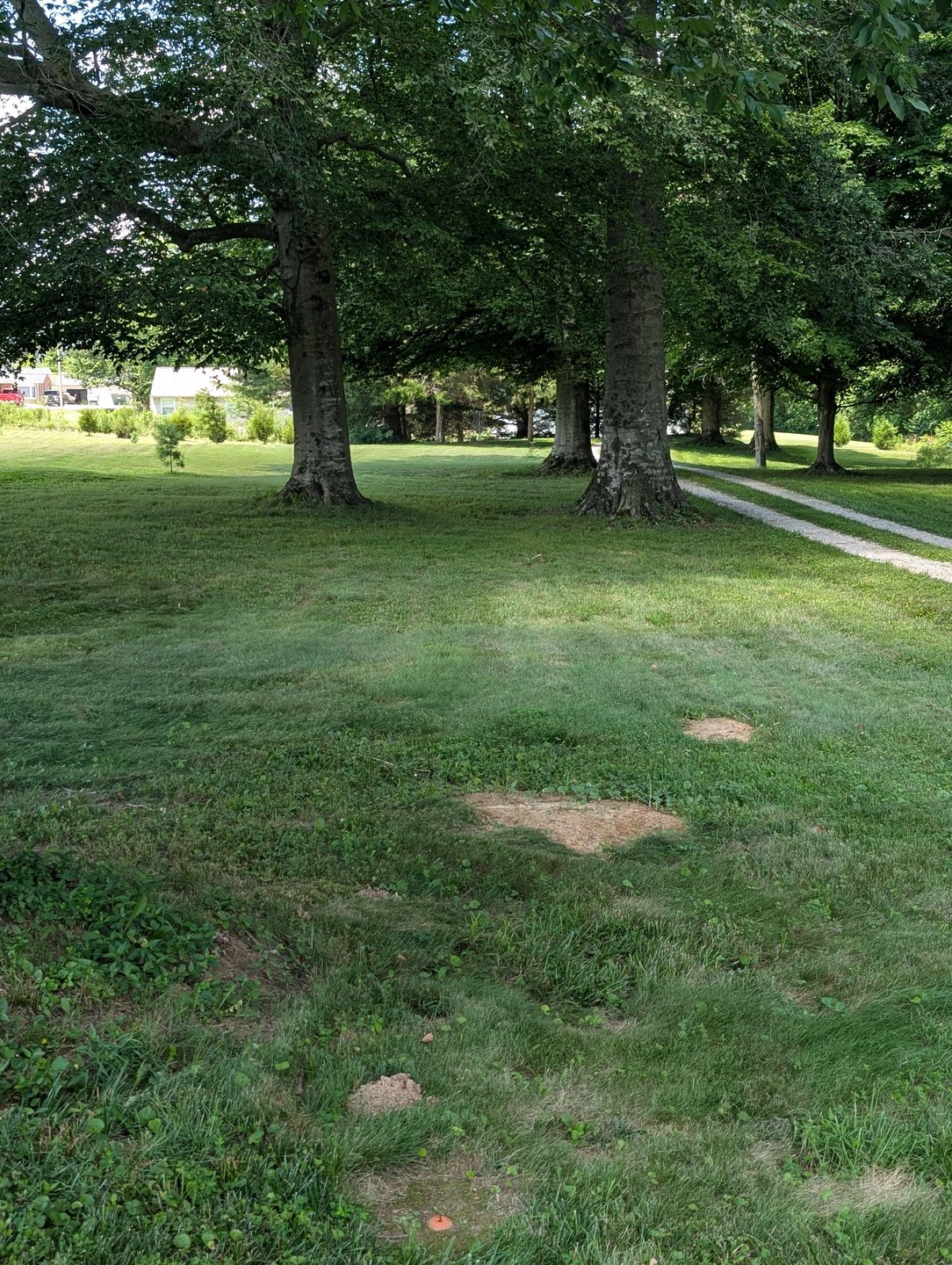 Hole 1 tee.