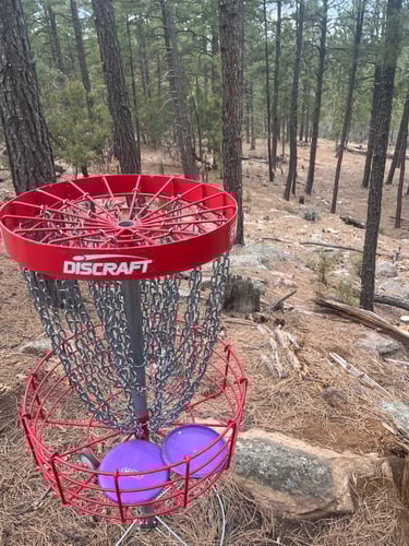 Hole 11 Basket