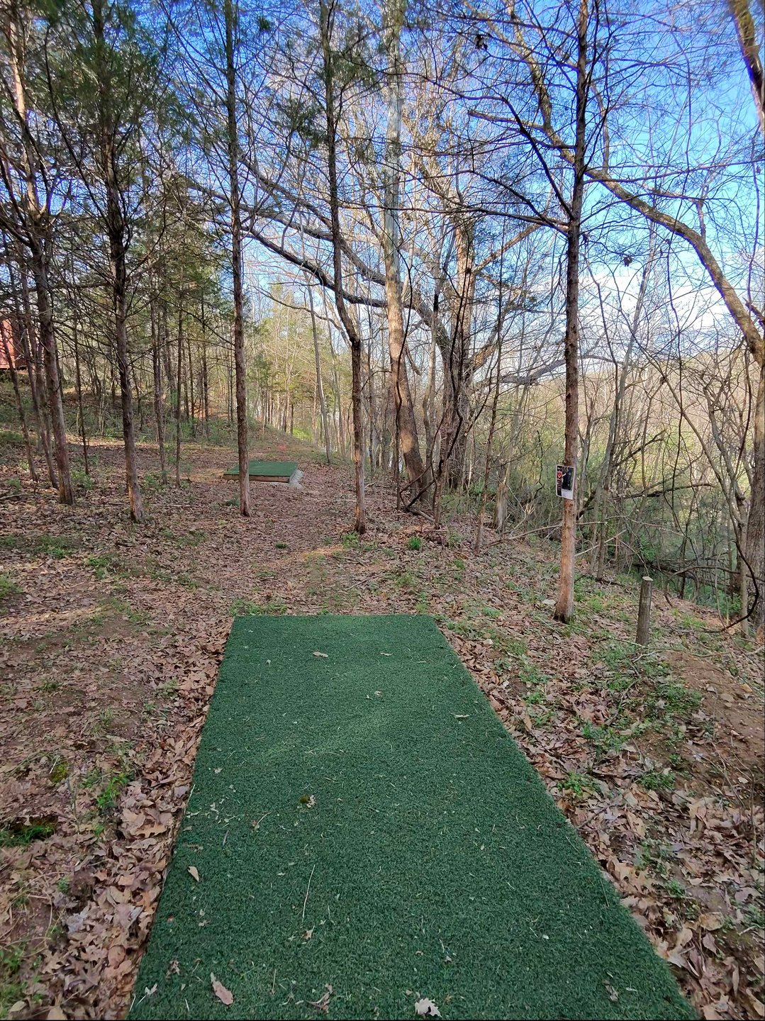 Hole 15 Blue