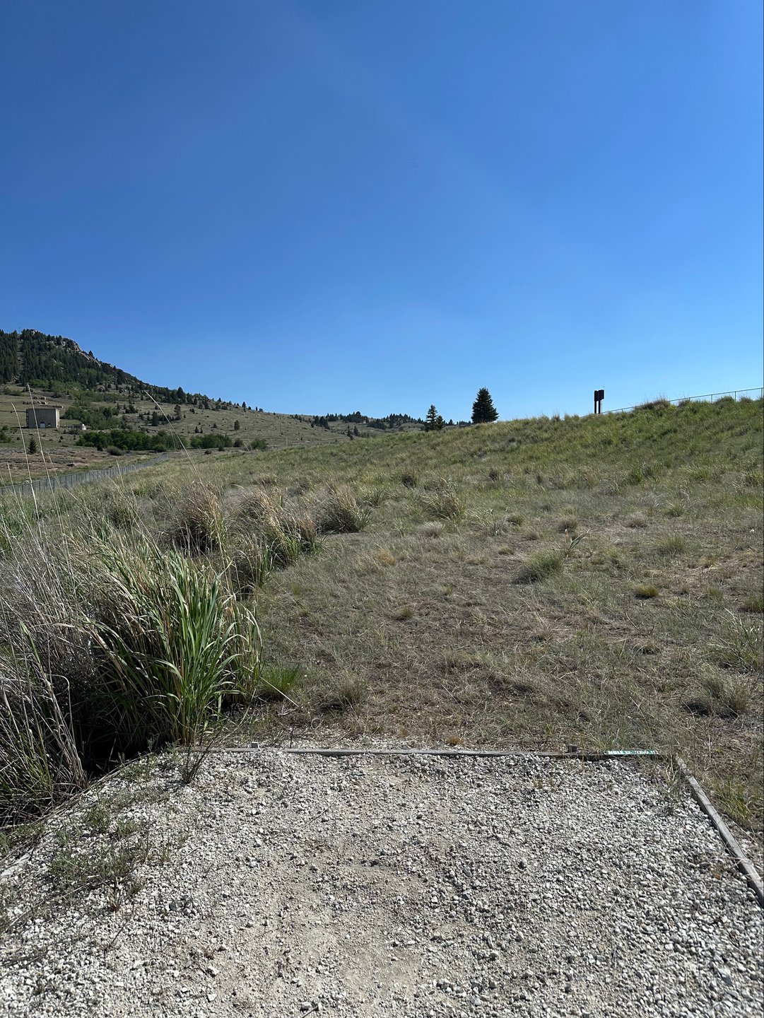 Hole 12 tee box