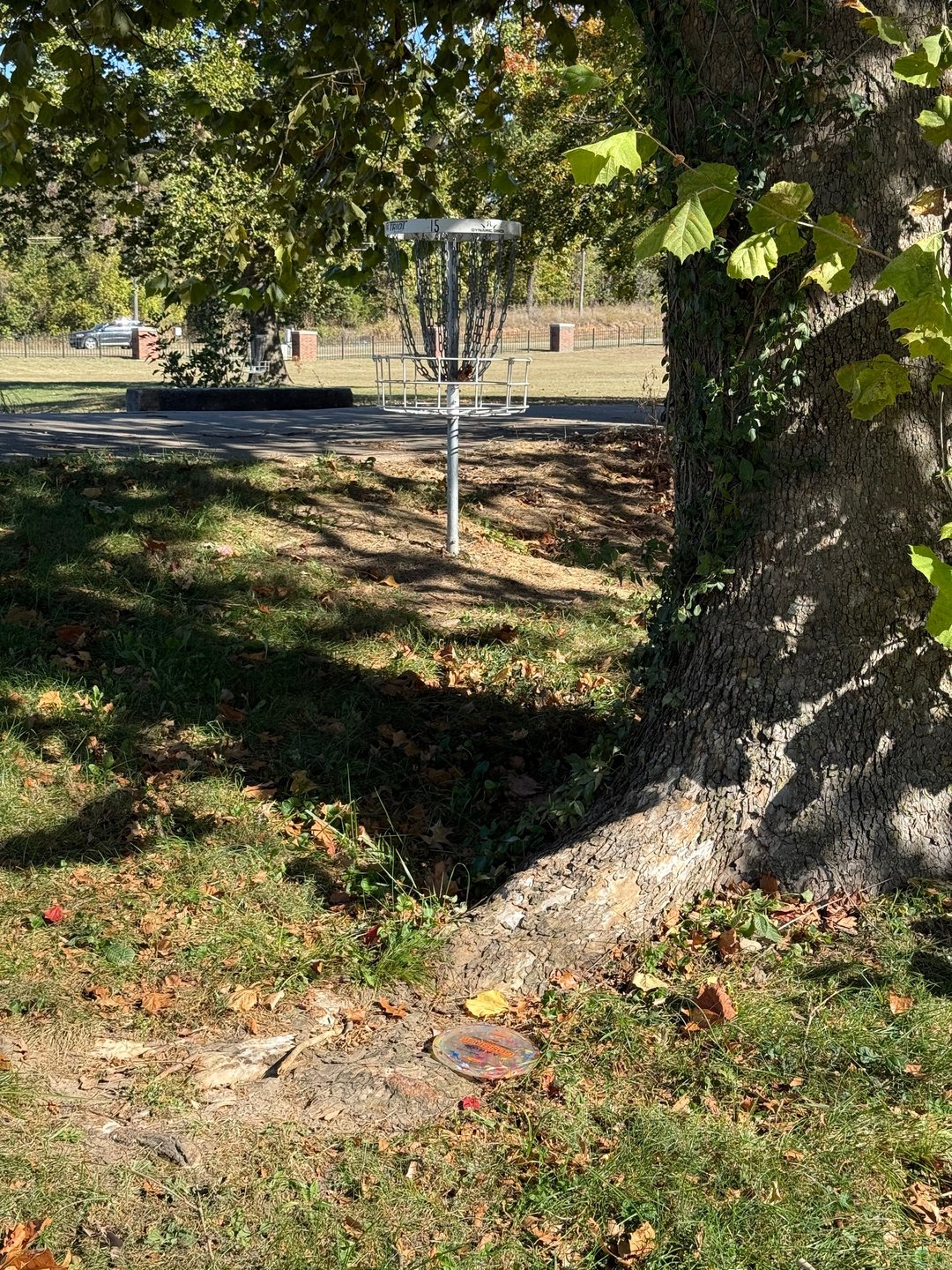 Hole 15s basket 