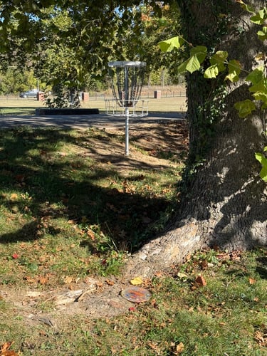 Hole 15s basket 