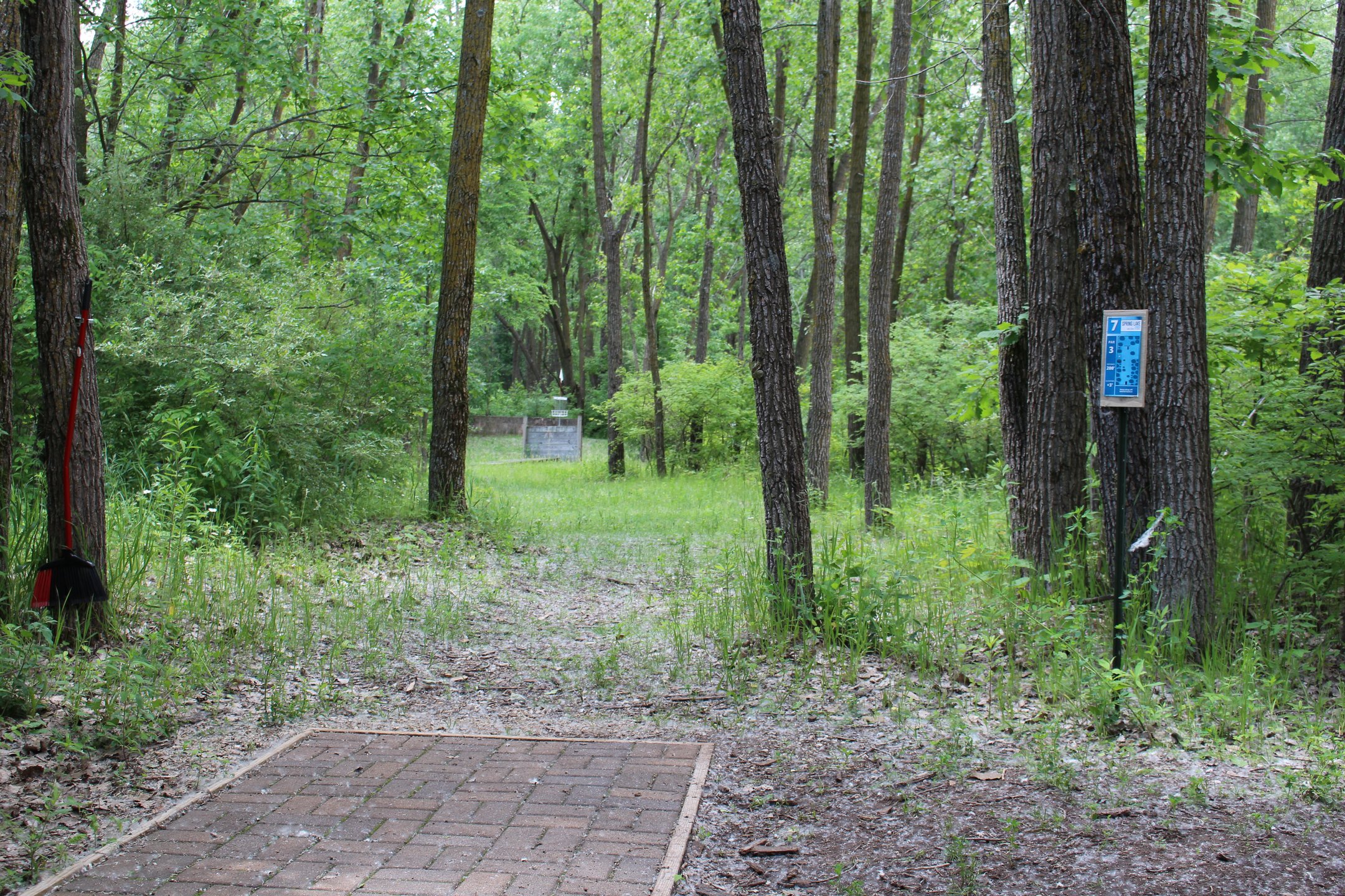 #7: Short, but tight fairway to a slightly elevated basket. Big drop off behind.