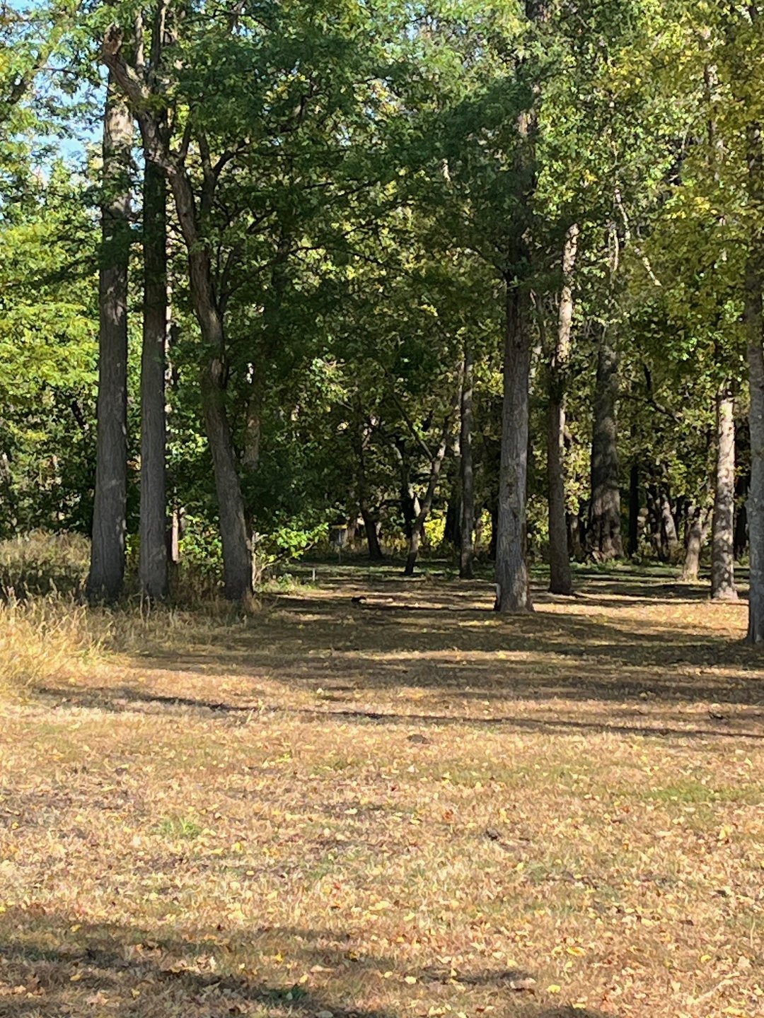13 approach
