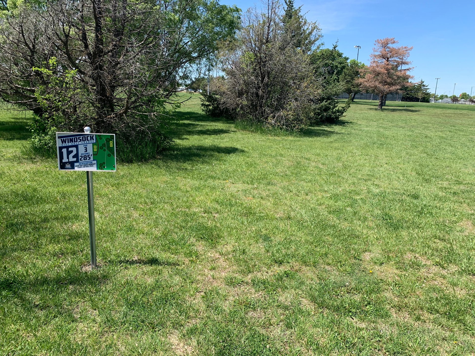 Hole 12 tee.