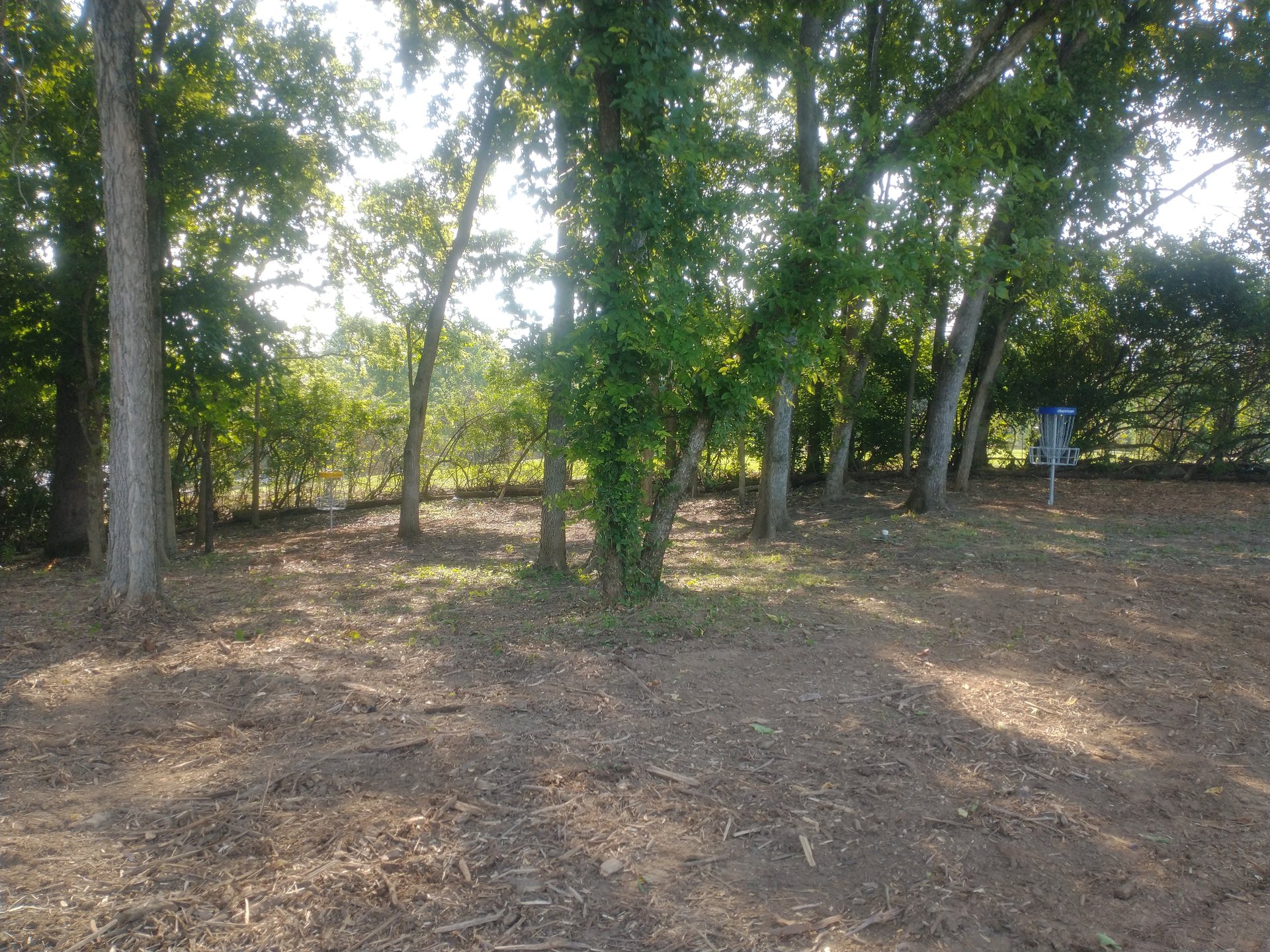 Hole 5