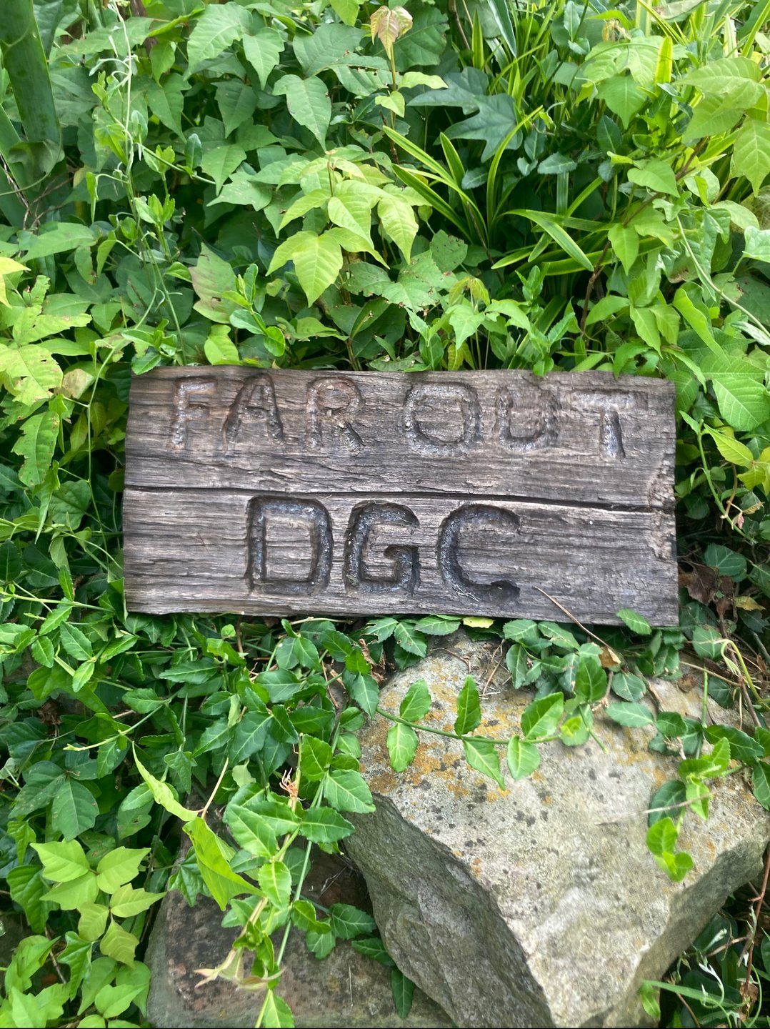 Far out disc golf course