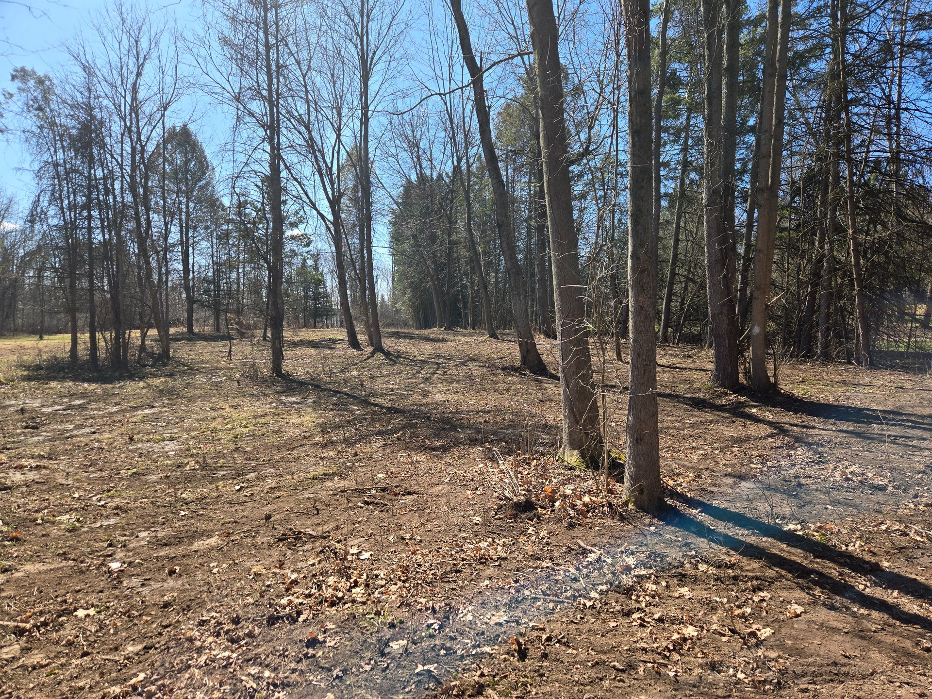 Basket is just to right of perspective; looking back toward tee