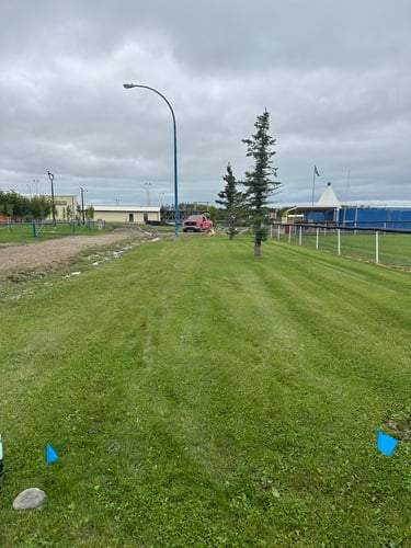 Hole 1  found by the pickle ball course. 

Rule for the hole Beyond road and beyond fence are out of bound. 

For added difficulty: mandatory right of light post and left second tree. Missed mando advances to light post for drop zone with added stroke penalty. 