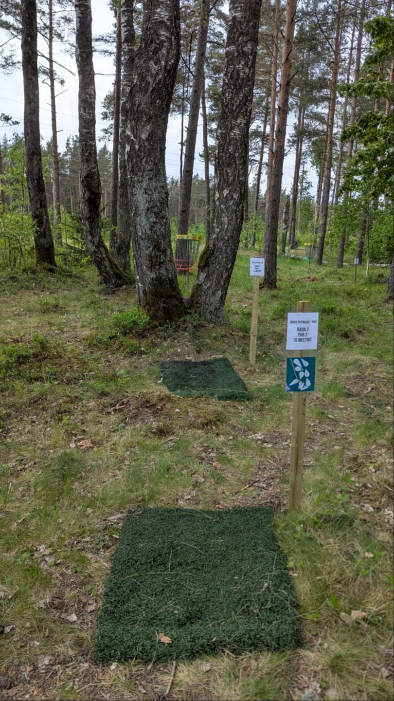 Hole 2 PRO and AM teepads.