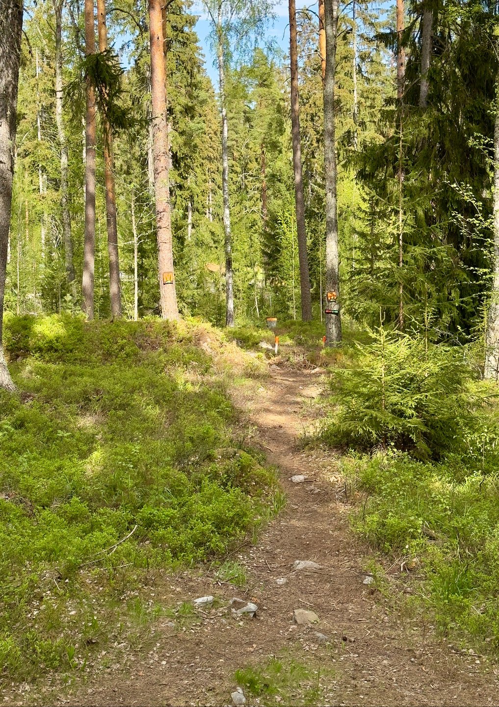 Väylä 9