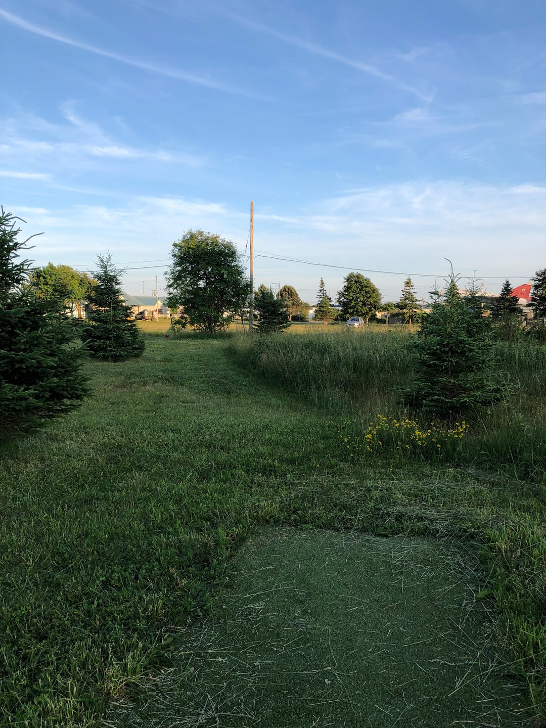 Hole 9 from red tee