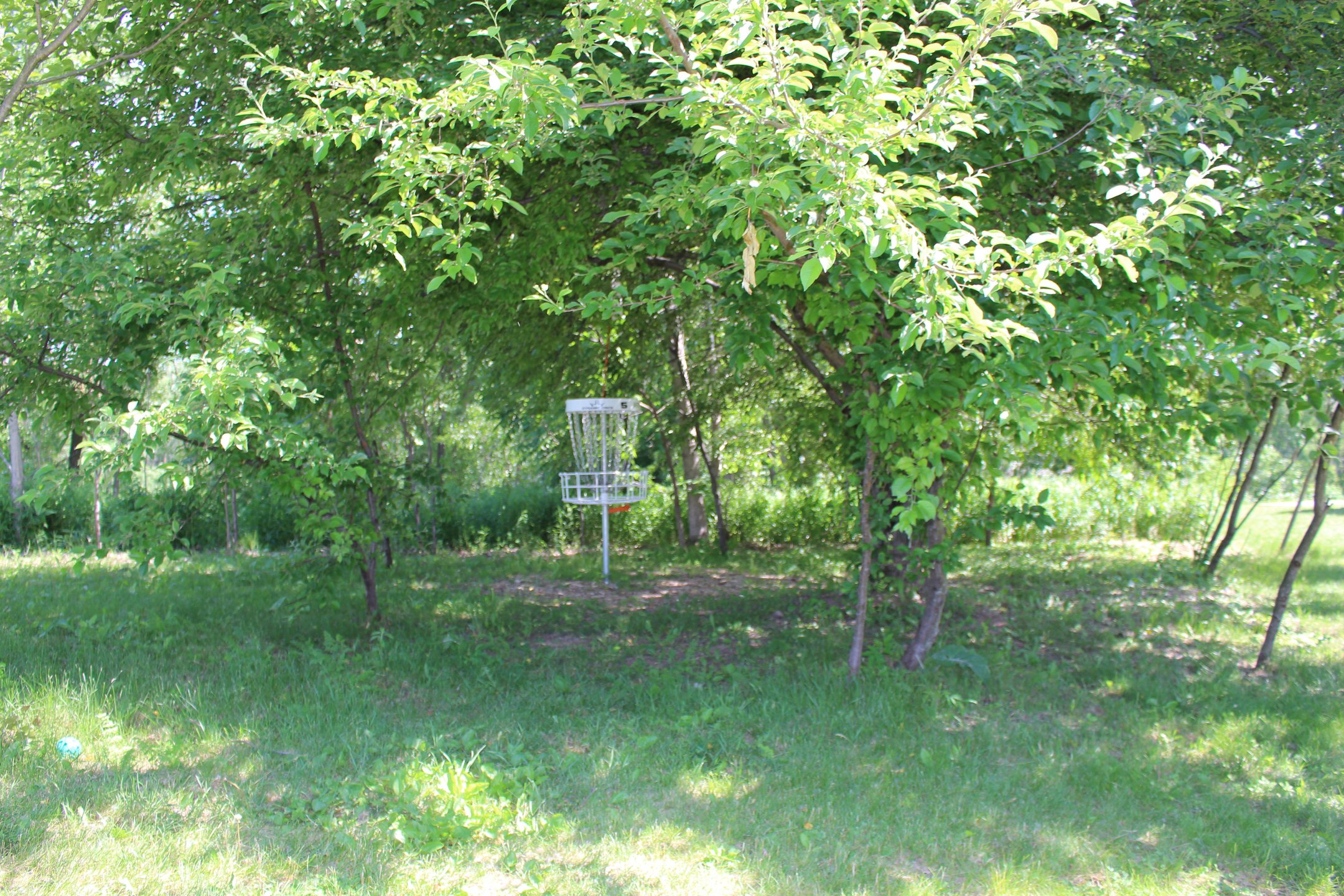 #5: Drives a few feet outside of bullseye still have work to do.